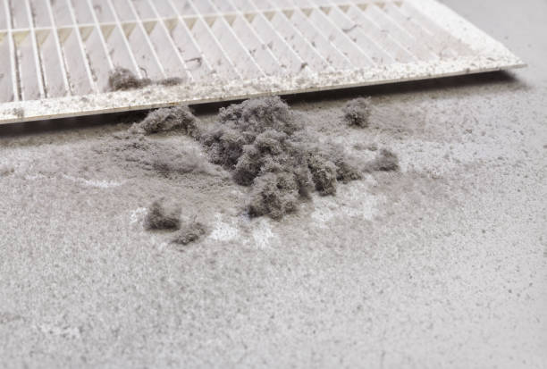 Best Commercial HVAC Duct Cleaning  in Spring Park, MN