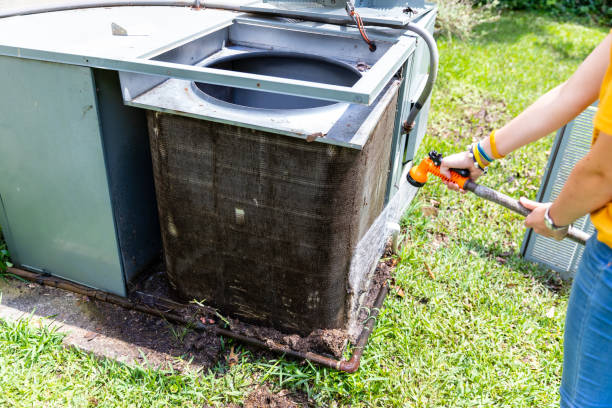 Best Home Air Vent Cleaning  in Spring Park, MN