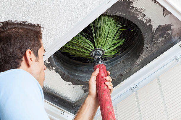 Best Local Air Duct Cleaning Services  in Spring Park, MN